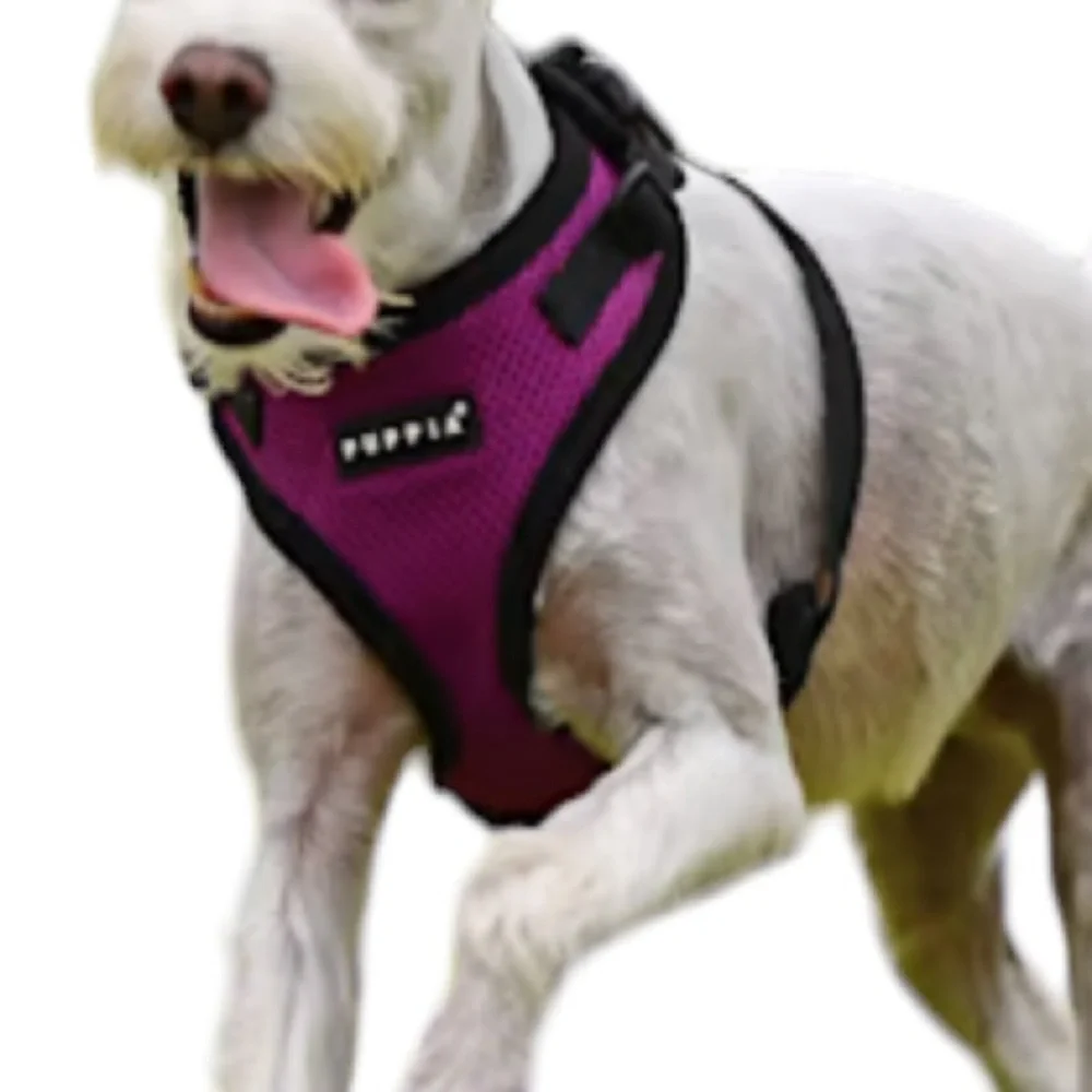 🌟NWT🌟 PUPPIA Soft Dog Harness in Purple and Black